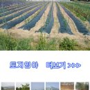 건축사사무소 조은건축 이미지