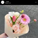 인느 이미지