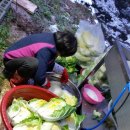 면천농협하나로마트 이미지