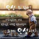 [급]03.06(수)16:00을지로 "산청숯불가든"에서🍺낮술한잔해요 이미지