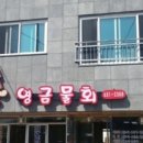 속초세꼬시 이미지