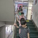 용인대 한울태권도장 이미지