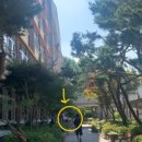 [토익 시험 후기] 10월 27일 남수원중학교(C1) 토익 후기