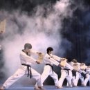 K-타이거즈 이미지