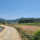 고성부동산중개사무소 이미지