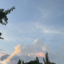 금성식당(본점) | [대구 달서구] 금성식당 냉동삼겹살 성당동본점 내돈내산 후기