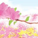 수로광고 이미지