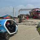 우도흑돼지 이미지