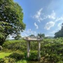 호암미술관 이미지