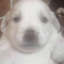 상상마당 라이브홀 이미지