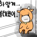 명륜진사갈비 경남고성점 네이버블로그