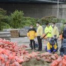 순천-11호 이미지