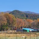 모악산도립공원 이미지