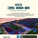 발리라이브 이미지