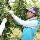 박수영농장 이미지