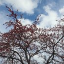 자미원역 이미지