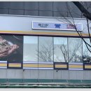 청기와 화장실 이미지