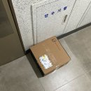 E001 | W21. [보자기카드]: 내돈내산 실물깡패 청첩장 실물 후기