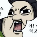 비벨라핏 이미지