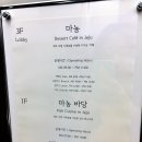 스테이마농 이미지