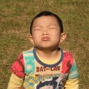 시례농장 Daum카페
