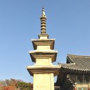 경주 불국사 단풍... 감탄사가 절로 나오네 이미지