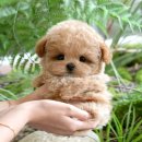 청도메디컬 이미지