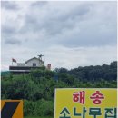 소나무집 이미지