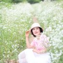 뚝섬한강공원-24 이미지