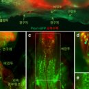 다정다감한의원 이미지