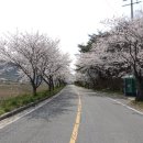 선셋777