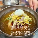 경주시청-3 | 경주시청 황성가야밀면 솔직후기🍜 물·비빔·만두·불고기 조합 짱 추천해요!