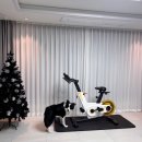 킹렌치 | 킹스미스 실내자전거 후기: 집에서 홈트 유산소 하게 된 이유