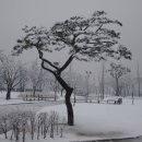 부평공원3 이미지