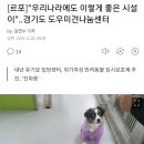 [르포]"우리나라에도 이렇게 좋은 시설이"..경기도 도우미견나눔센터 이미지