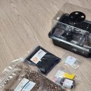 오지5구 | 하늘e정원 리톱스 다육이 파종 키트 후기