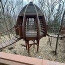 숲 | 장성 축령산 최단코스 시간 추암주차장 삼나무편백숲 후기