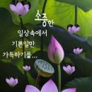 목이버섯 갱년기에 특히 좋은 이유,체중 뼈에 변화가 이미지