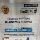 저스트벳 동물병원 | [두부두부 3탄] 강아지 노안인 줄 알았는데 백내장? 동물병원 전용 '라노클리어 벳' 안약 내돈내산 후기