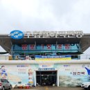 바다수산회직판장 | 감포맛집 8번 형제수산, 수협활어직판장 가성비 회포장 후기