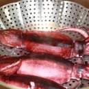 주문진산오징어 이미지