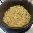 최강아지 이미지