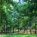 라온농장 이미지