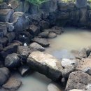 광령2리 복지회관 이미지