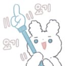 커피놀이터콩 이미지