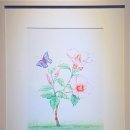 색연필 일러스트 이미지