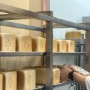 남희청국장 | 25년 10월 일상 (3)