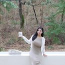 허브23다이어트