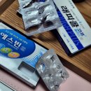 2024.03 몸살 감기로 앓았던 일상