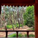 자산솔밭공원 이미지